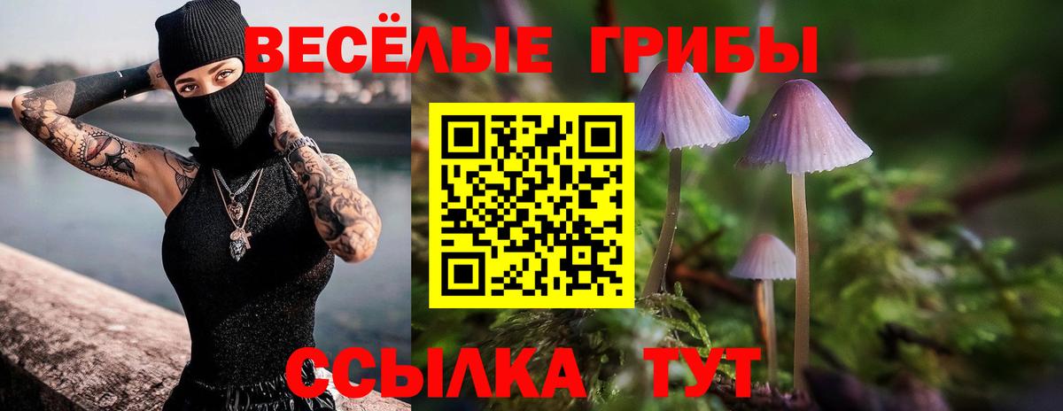 Дмитров  Галлюциногенные грибы прущие грибы  Вход с VPN  Псилоцибиновые грибы MAGIC MUSHROOMS 
